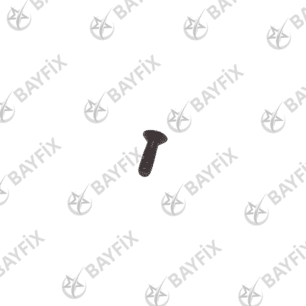 Bosch Birim Pompa Vidası