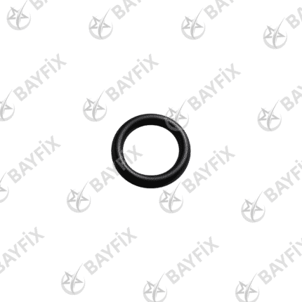 O-Ring
